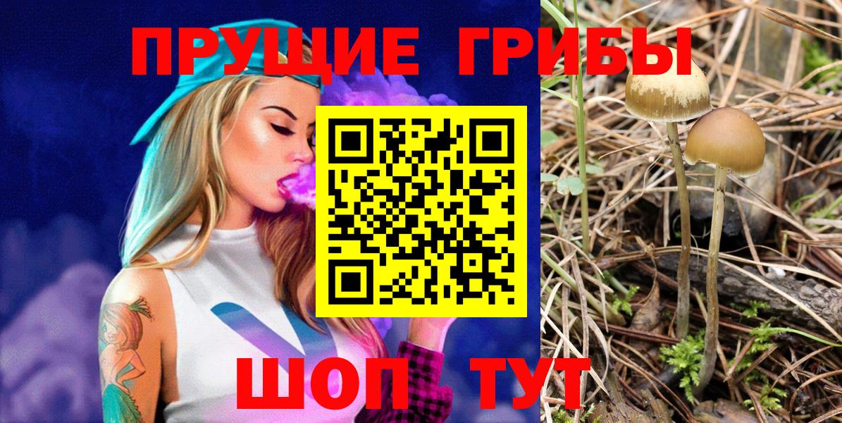 Пенза  Псилоцибиновые грибы Magic Shrooms  Вход с VPN 