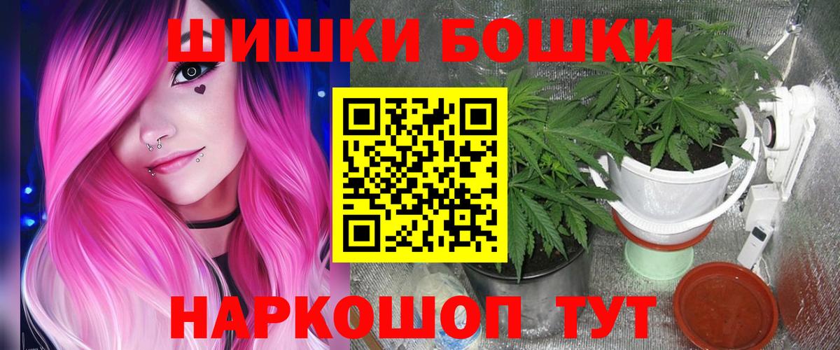Канабис план Пенза